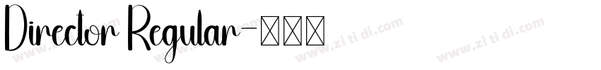 Director Regular字体转换